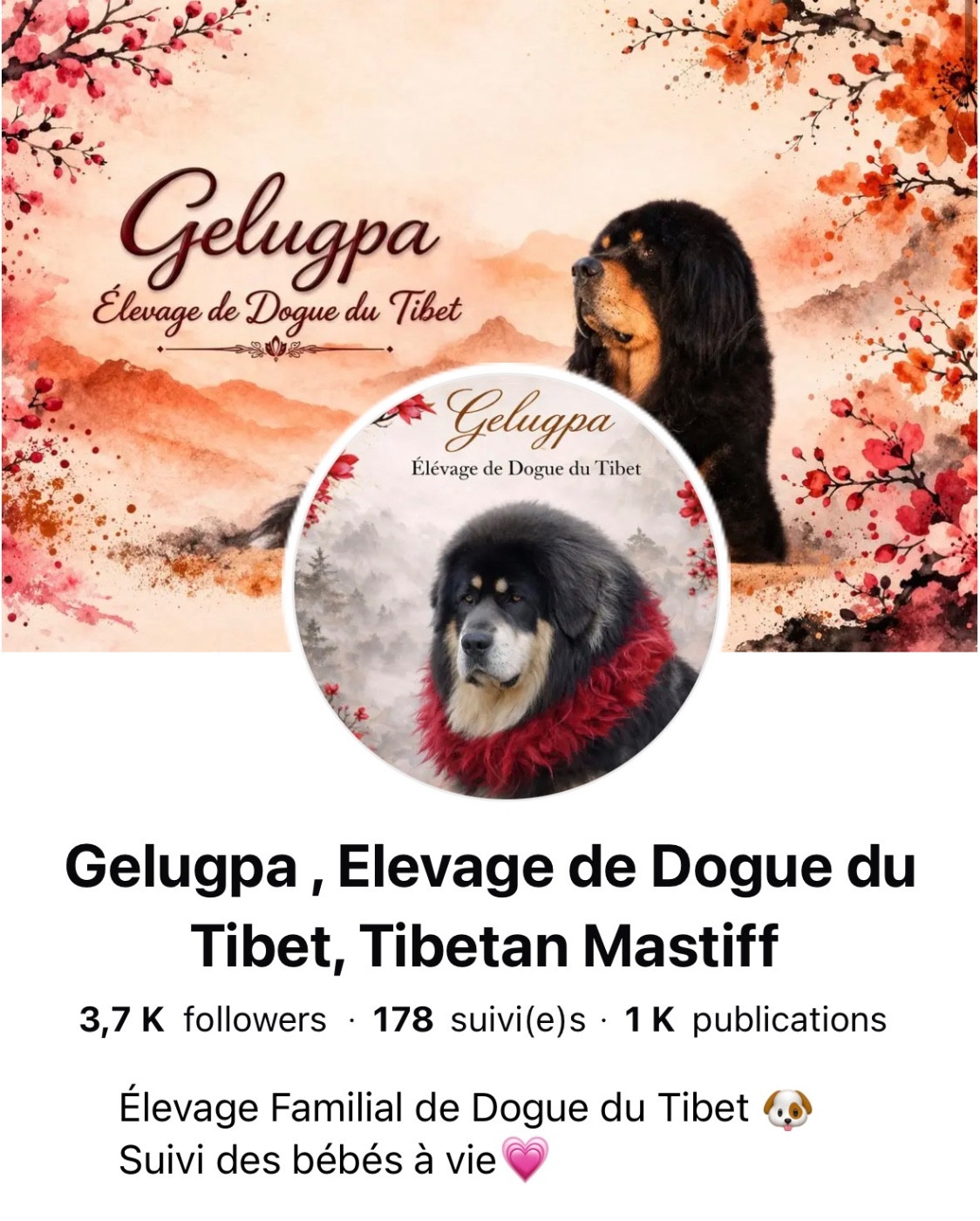 Rejoignez nous sur Facebook